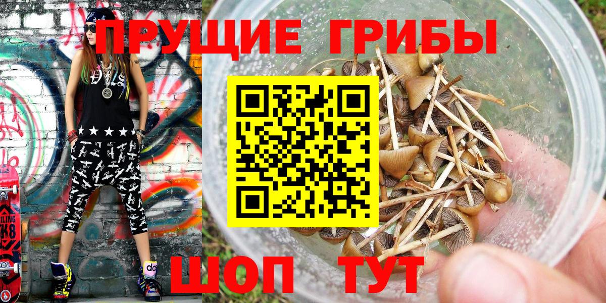 Псилоцибиновые грибы прущие грибы  Вход с VPN  Вольск 